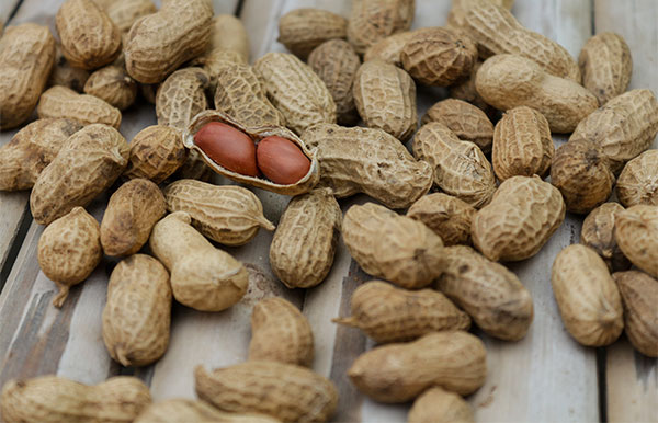 ��¶��ʲô ��¶ʱ���˳Ե�����ʳ��